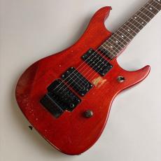 Washburn N2