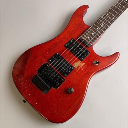 Washburn N2