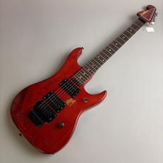 Washburn N2_2