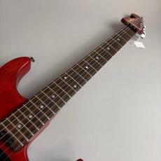 Washburn N2_3