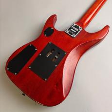 Washburn N2_5