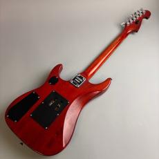 Washburn N2_6