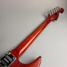 Washburn N2_7