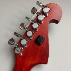 Washburn N2_8