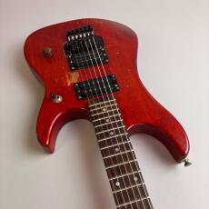 Washburn N2_9