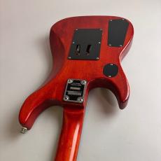 Washburn N2_10