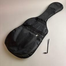 Washburn N2_11
