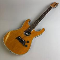 Mosrite HAKUBA_2