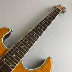 Mosrite HAKUBA_3