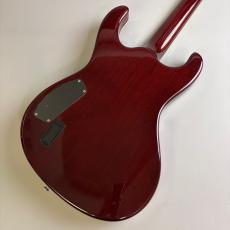 Mosrite HAKUBA_5