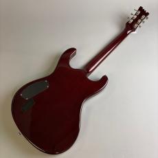 Mosrite HAKUBA_6