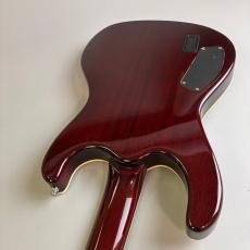 Mosrite HAKUBA_10