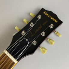 Edwards E-LP-108LTS_4