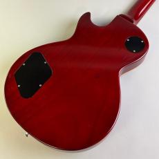 Edwards E-LP-108LTS_5