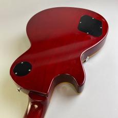 Edwards E-LP-108LTS_10