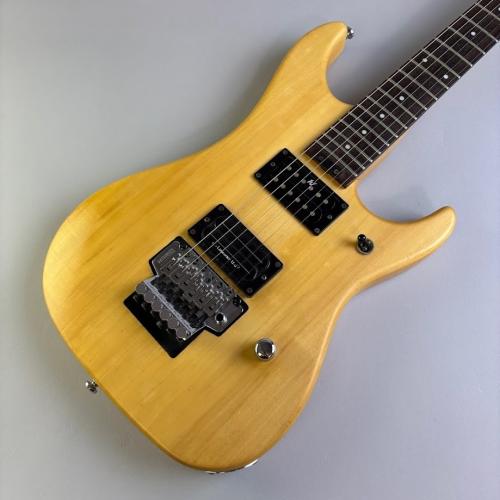 Washburn N2