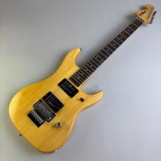 Washburn N2_2