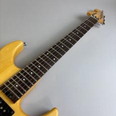 Washburn N2_3