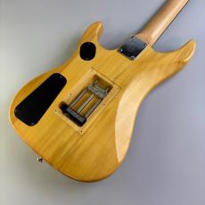 Washburn N2_5