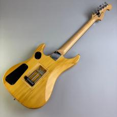 Washburn N2_6