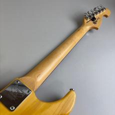 Washburn N2_7