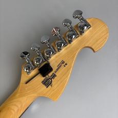 Washburn N2_8