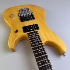 Washburn N2_9
