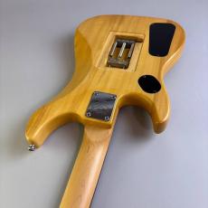 Washburn N2_10