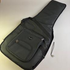 Washburn N2_11