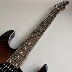 Addictone ARENA Plus HSH Bengal Burst_3
