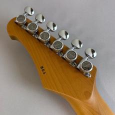 Addictone ARENA Plus HSH Bengal Burst_8