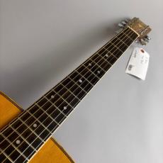 K.Yairi YW-500R_3