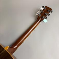 K.Yairi YW-500R_7