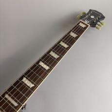 Epiphone Ltd Ed EJ-160E_3