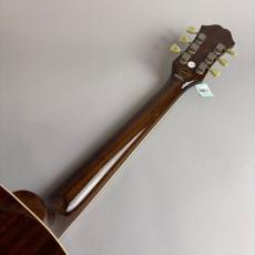 Epiphone Ltd Ed EJ-160E_7
