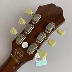 Epiphone Ltd Ed EJ-160E_8
