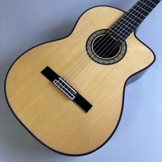Takamine DMP370NC