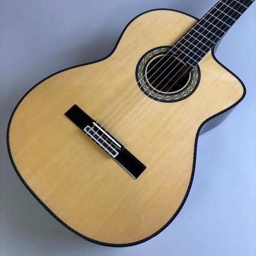 Takamine DMP370NC