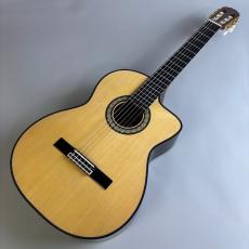 Takamine DMP370NC_2