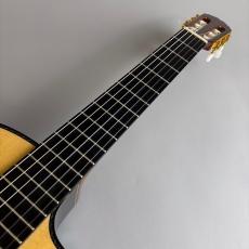 Takamine DMP370NC_3