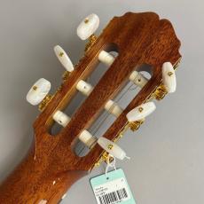 Takamine DMP370NC_8
