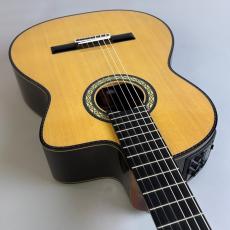 Takamine DMP370NC_9