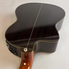 Takamine DMP370NC_10