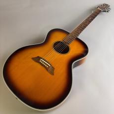 Takamine PT07E_2