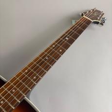 Takamine PT07E_3