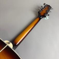 Takamine PT07E_7