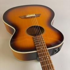 Takamine PT07E_9