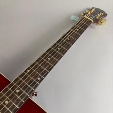 Epiphone DR-100_3
