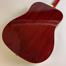 Epiphone DR-100_5
