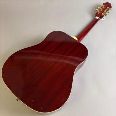 Epiphone DR-100_6